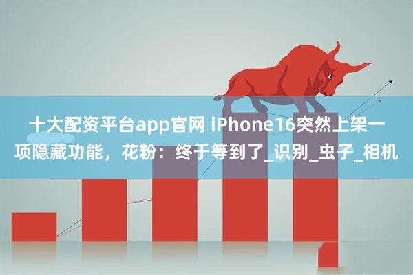 十大配资平台app官网 iPhone16突然上架一项隐藏功能，花粉：终于等到了_识别_虫子_相机