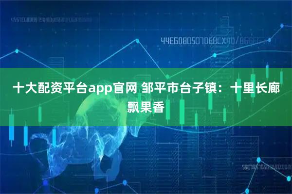 十大配资平台app官网 邹平市台子镇：十里长廊飘果香