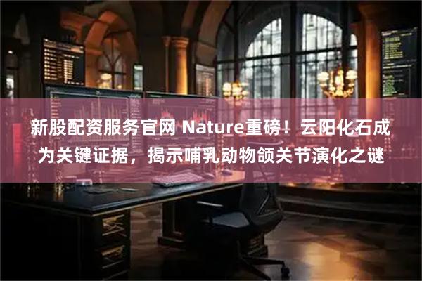 新股配资服务官网 Nature重磅！云阳化石成为关键证据，揭示哺乳动物颌关节演化之谜